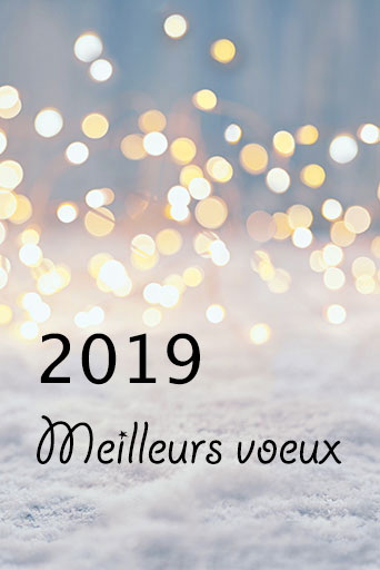 Meilleurs voeux 2019